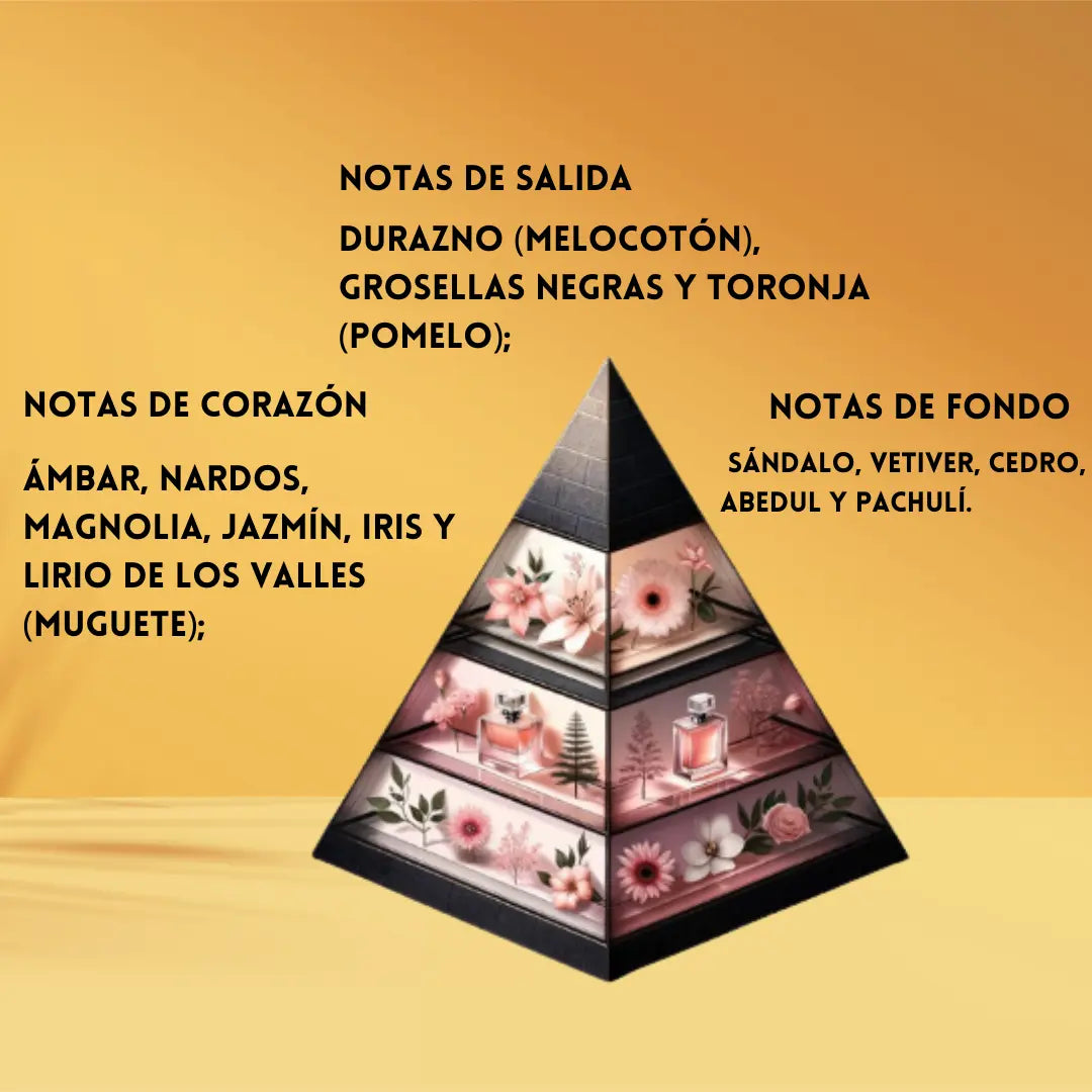 Diwani Rabat fragrance world