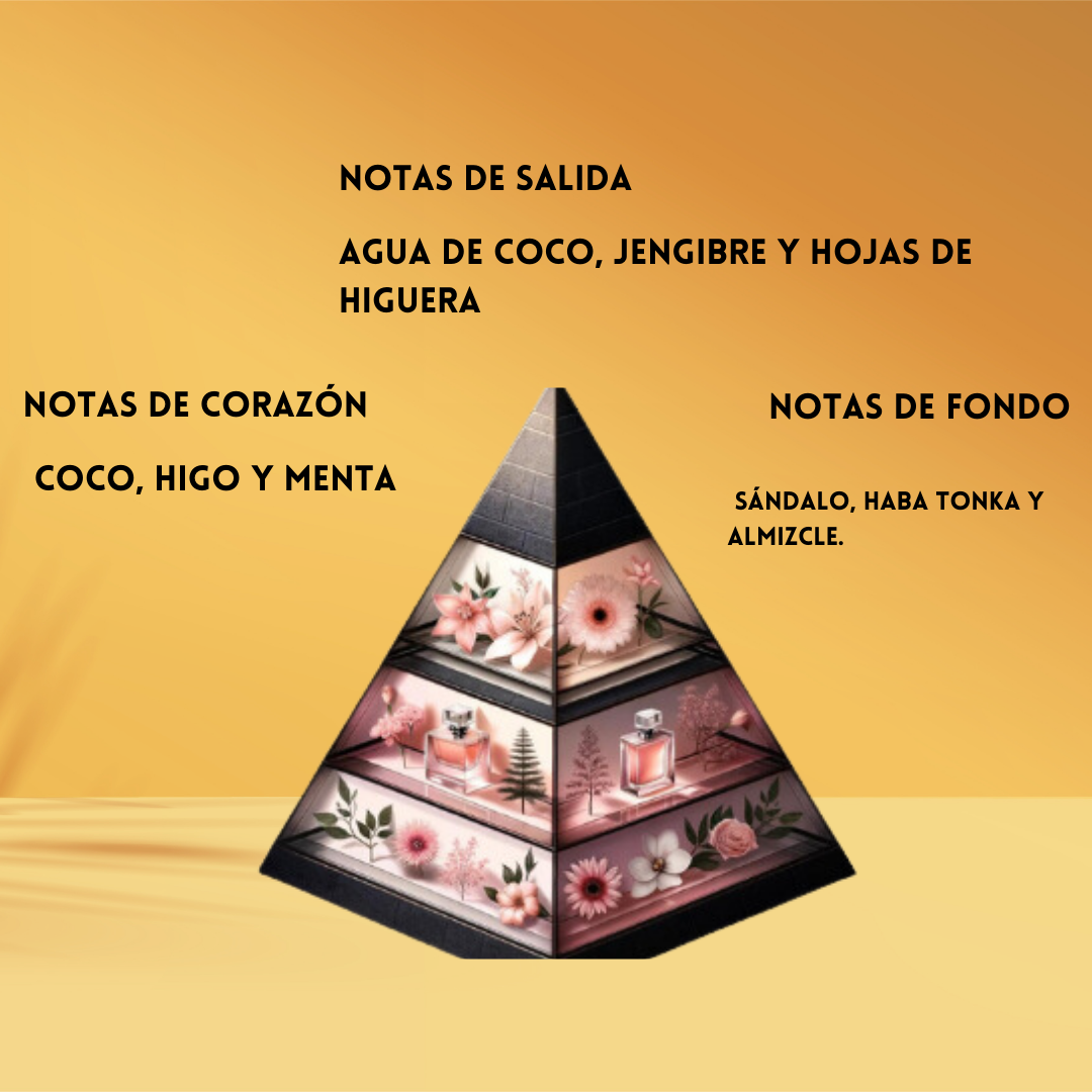 Rasasi Hawas for Him Tropical – Eau de Parfum - Masculino Fresco