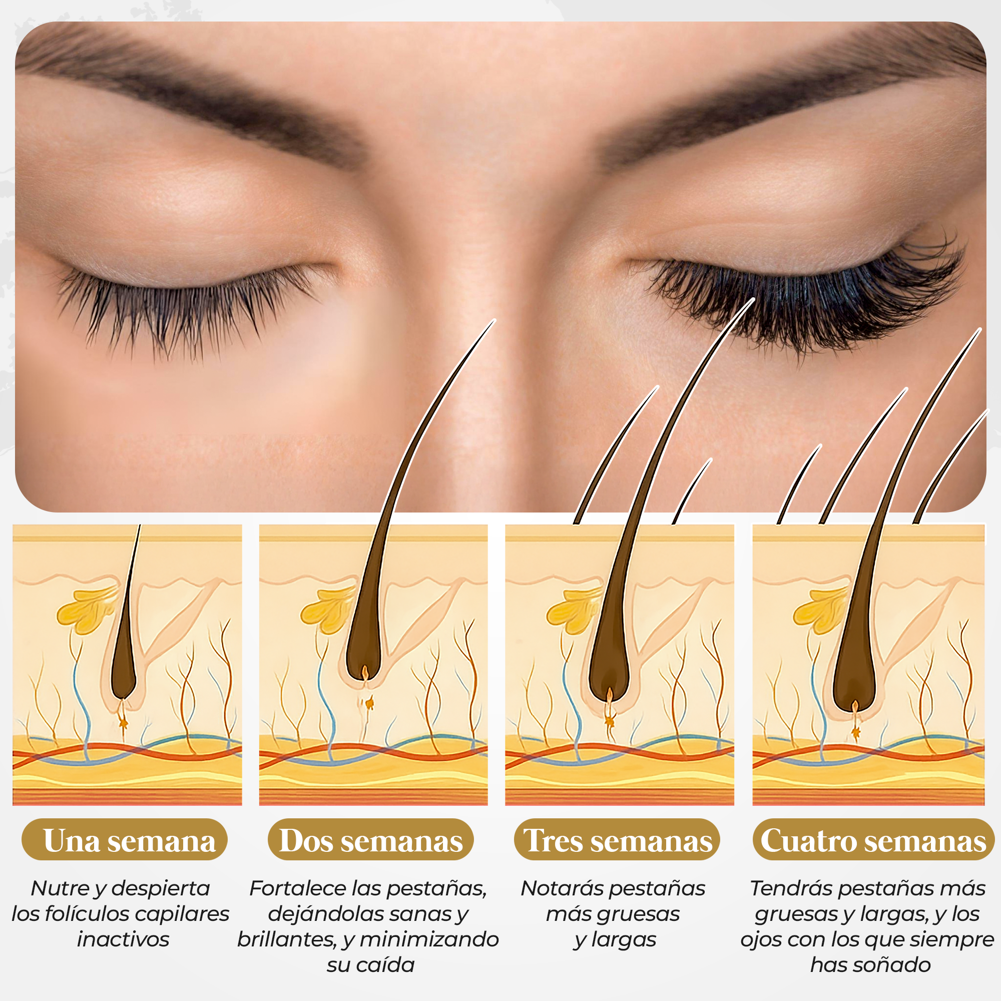 Serum Wimpernwachstum | 4-Monats-Behandlung zur natürlichen Stärkung und Verlängerung deines Blicks | Ohne Prostaglandine und Parabene | Wimpernserum mit Messgerät, Anleitungen, Nachverfolgung und Vorlagen zur Verbesserung deiner Gesundheit