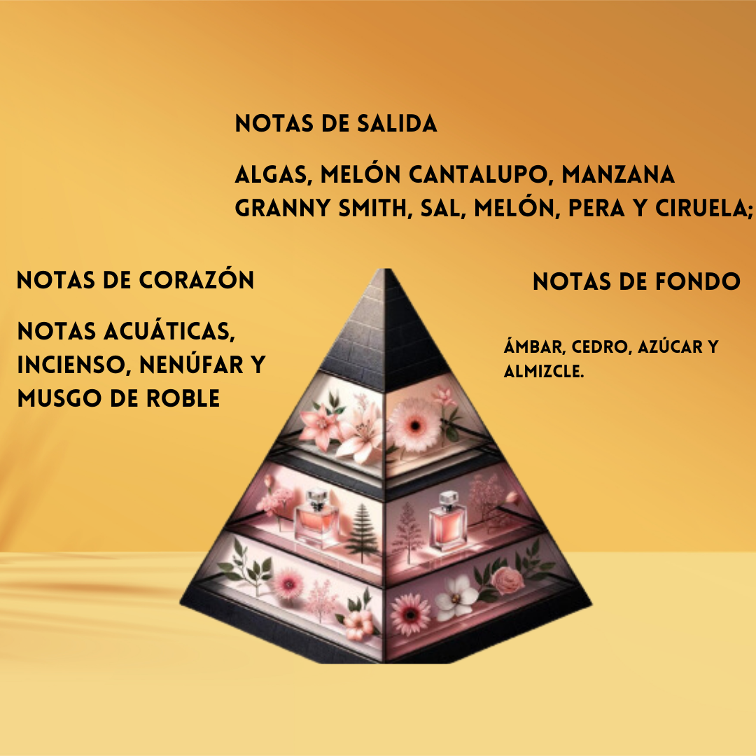 Armaf Odyssey BAHAMAS – Eau de Parfum Unisex - Acuático & Aromático