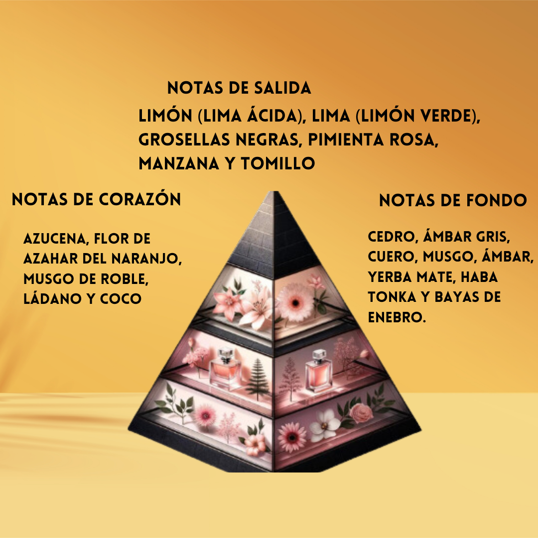 Le Falcóné Risala Autograph – Eau de Parfum Unisex - Amaderado & Aromático