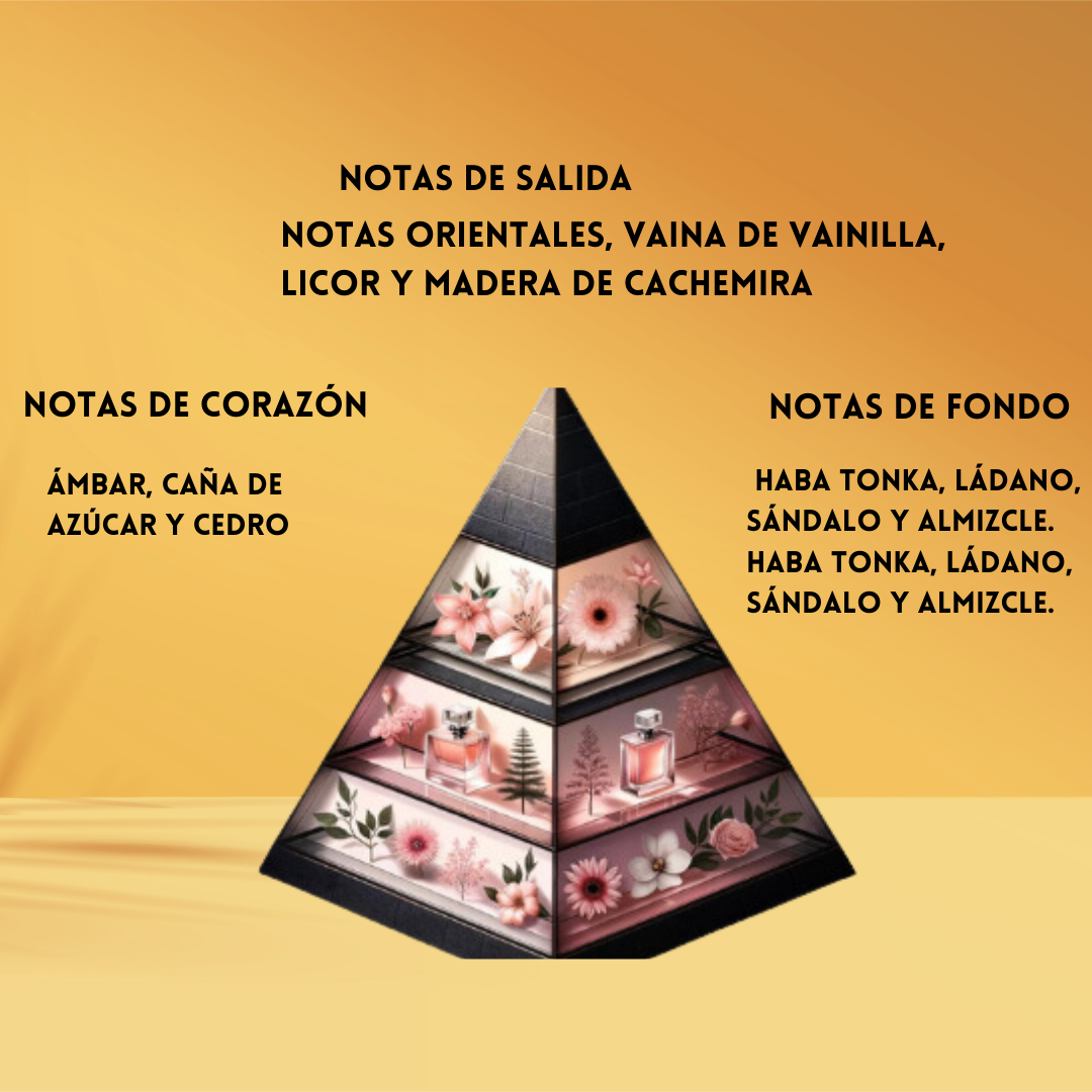 French Avenue Amber Empire – Eau de Parfum Hombre - Oriental & Amaderado