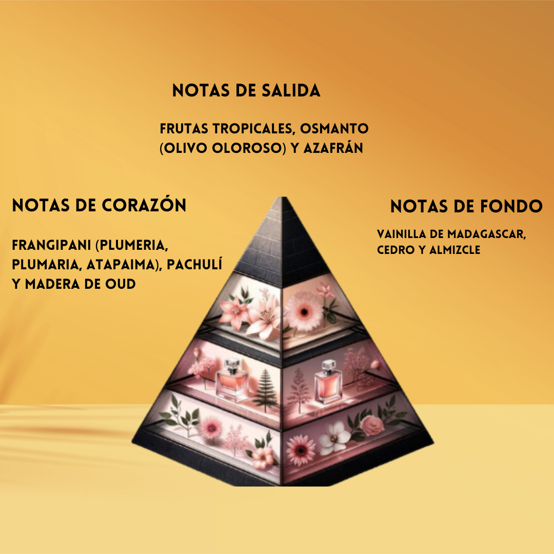 Areebah | Extracto de Perfume Unisex | Riiffs