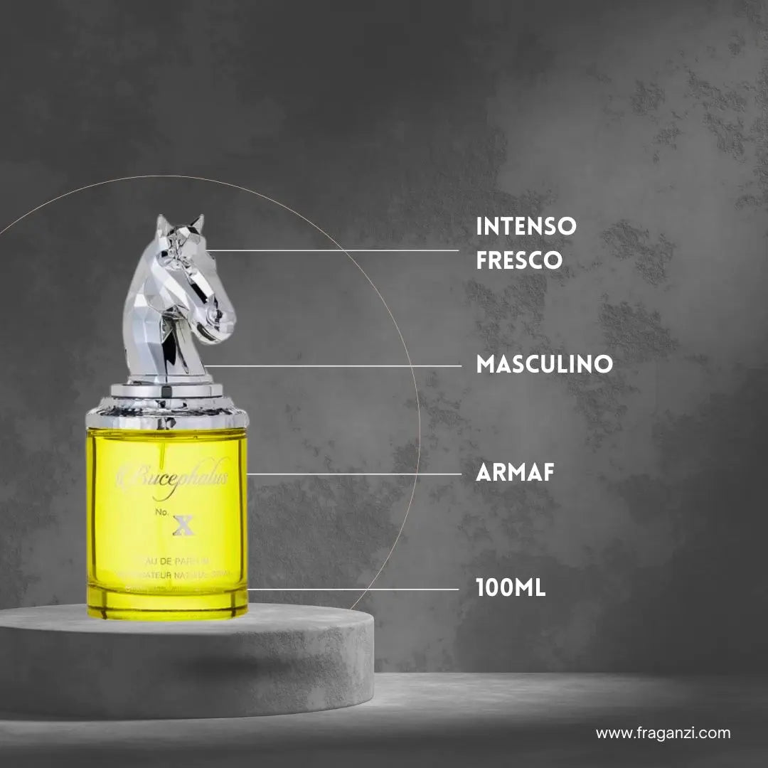Bucephalus x Armaf
