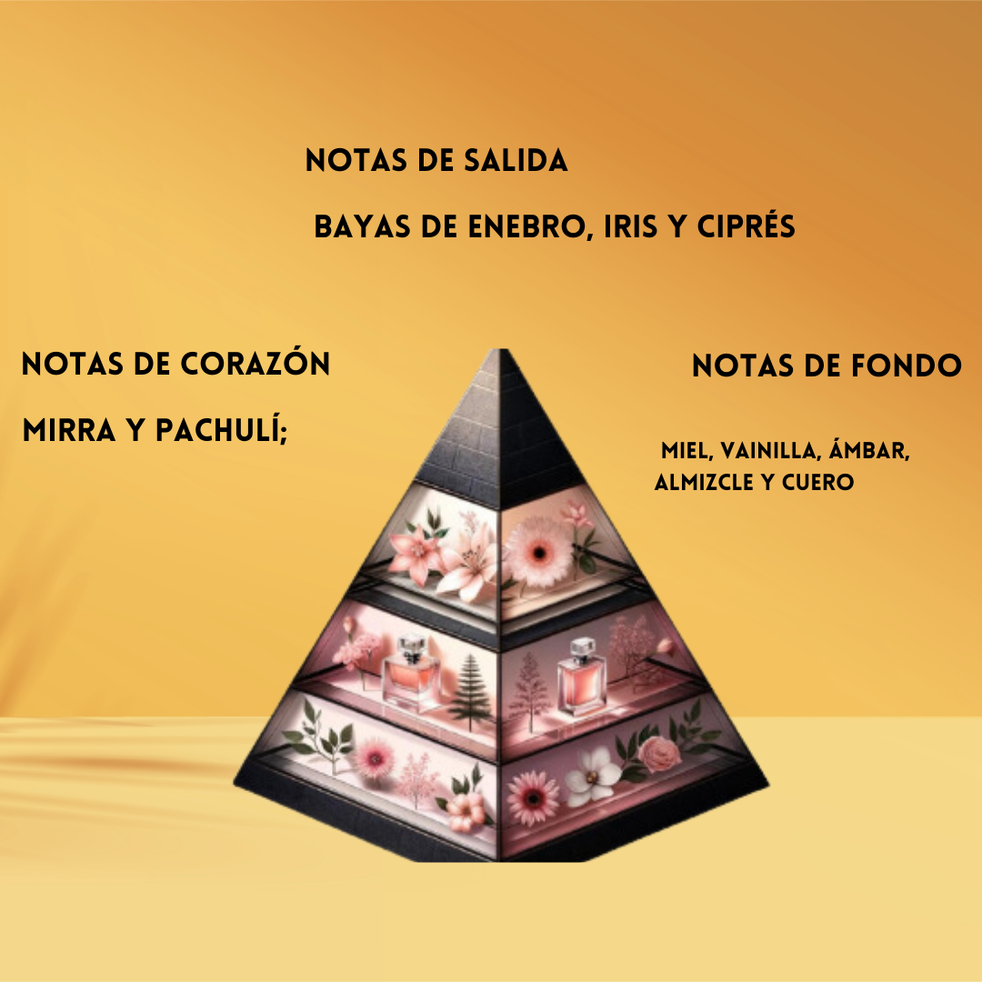 Nitro White – Perfume Unisex Eau de Parfum Elegante & Intenso