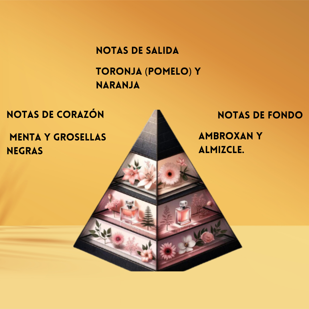 Pinnace – Eau de Parfum – Fragrance World | Perfume Árabe Unisex Fresco y Moderno