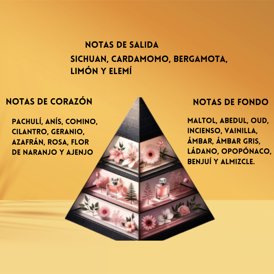 Rayhaan Terra – Eau de Parfum Hombre - Oriental & Especiado Intenso