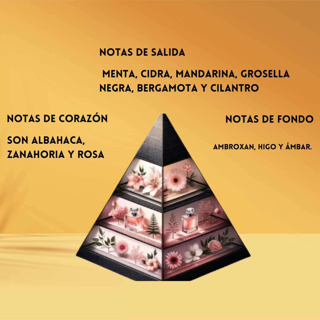 Rayhaan Pacific Aura – Eau de Parfum Hombre - Fresco & Marino